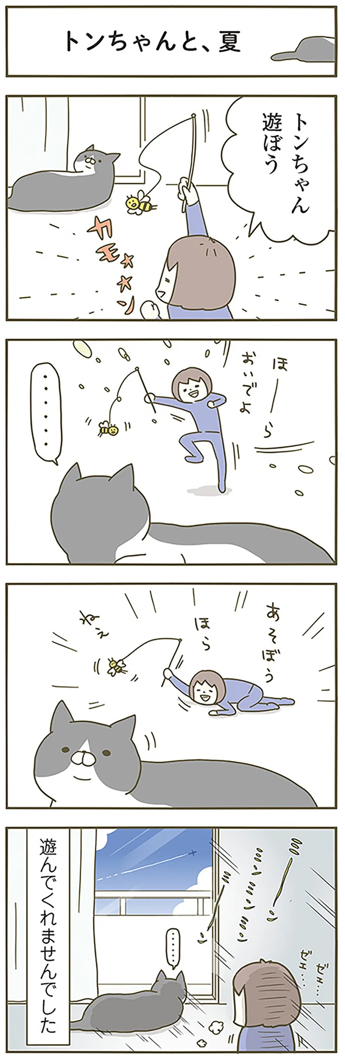 トンちゃんと、夏