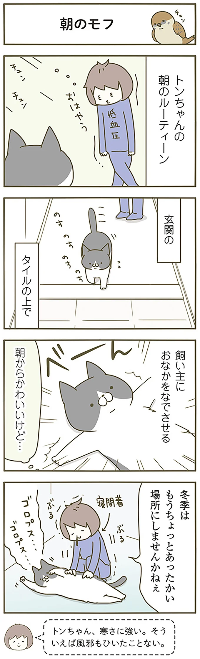 朝のモフ