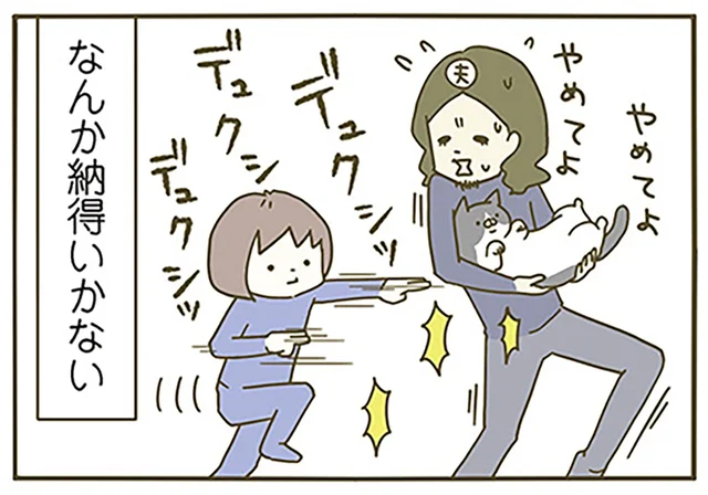 なんか理不尽！ 猫にとって嫌なことを担当し、だっこができなくなりました!?／うちの猫がまた変なことしてる。（10）