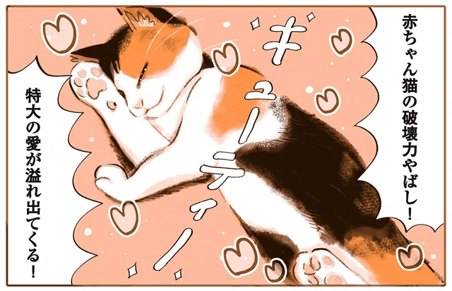 赤ちゃん猫の破壊力がヤバい！ しかし先住猫との折り合いはいかに？／うちの猫は仲が悪い（2）