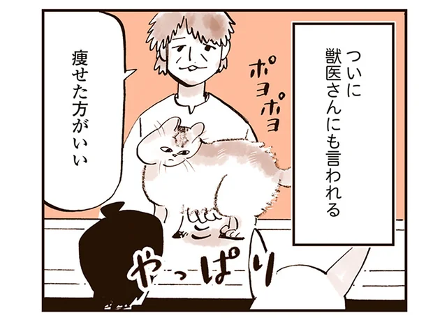 うちの猫、太りすぎ？ お医者さんにまで「痩せた方がいい」と言われてしまい／うちの猫は仲が悪い（4）