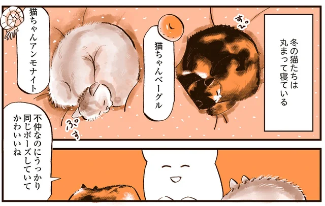 冬は丸まり、夏は個性が大爆発！ 猫たちそれぞれの寝相がかわいい／うちの猫は仲が悪い（5）