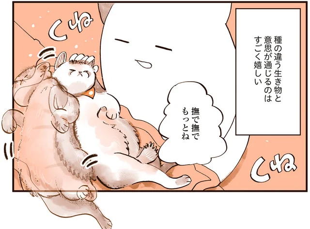 謎が多すぎる！ 猫と意思が通じて嬉しいけれど、今日だけは全然分かりません!?／うちの猫は仲が悪い（6）