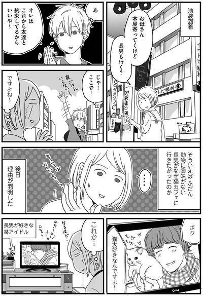 猫カフェ行きの理由