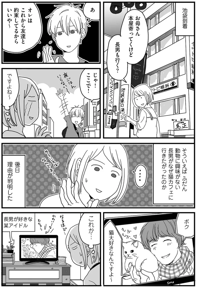 猫カフェ行きの理由