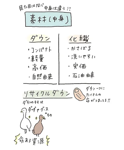 素材（中身）