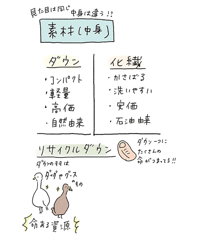 素材（中身）