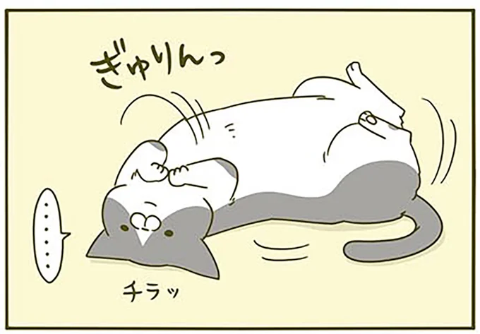 ぎゅりんっ