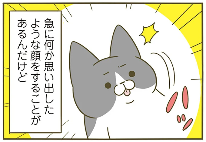急に何か思い出したような顔をすることがあるんだけど