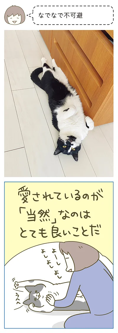 なでなで不可避です！