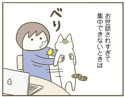 お世話されすぎて集中できないときは