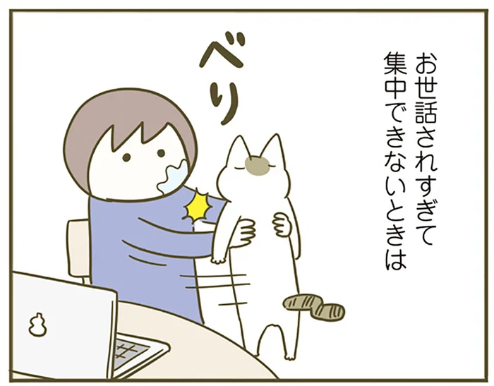 世話好きの猫を別の子に押し付けると何か言いたげ。構われすぎて集中できないときの飼い主の話／うちの猫がまた変なことしてる。5（1）