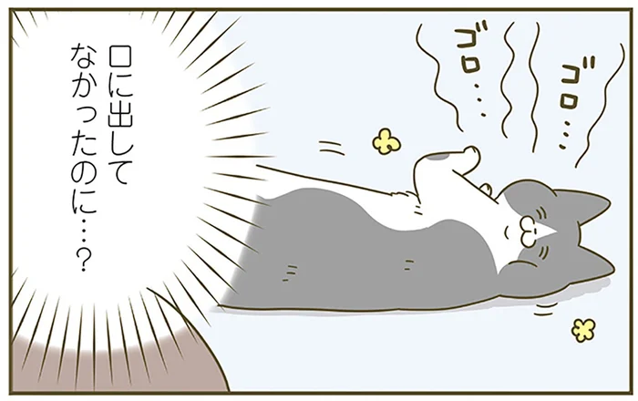 「可愛い」と言われると嬉しそうな猫。今では飼い主の思考を読んで喜ぶように!?／うちの猫がまた変なことしてる。6（1）