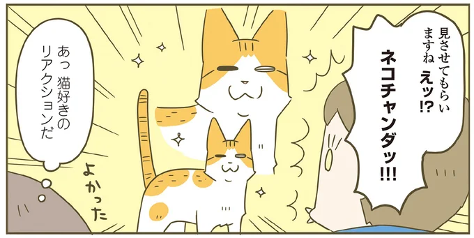 ネコチャンダッ!!!