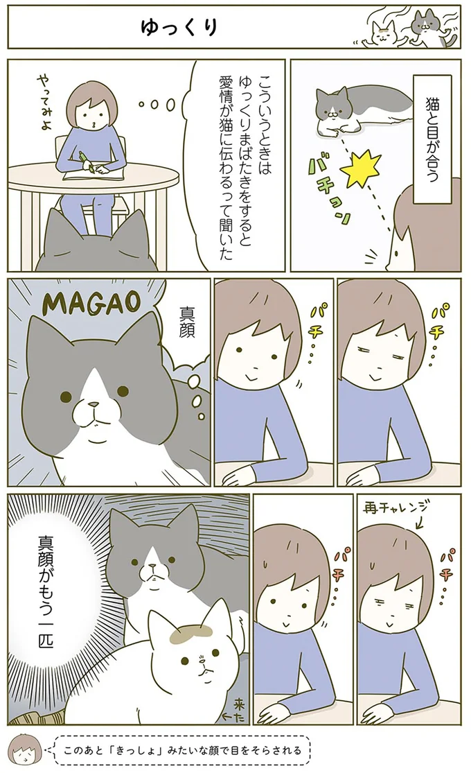 ゆっくりまばたきをすると