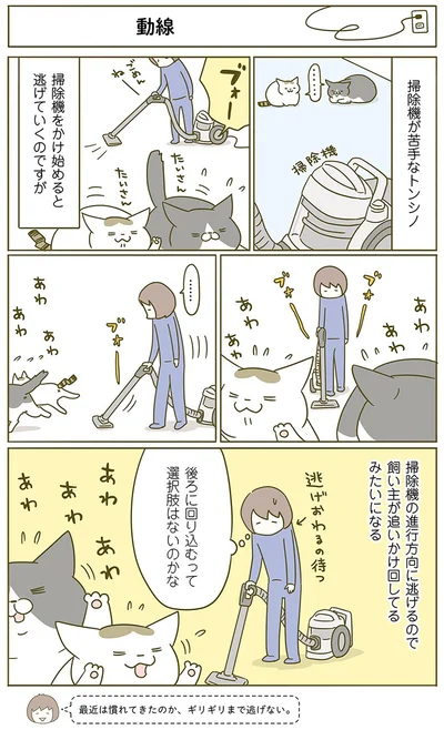 掃除機が苦手なトンシノ