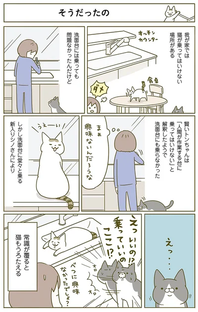 常識が覆ると猫もうろたえる