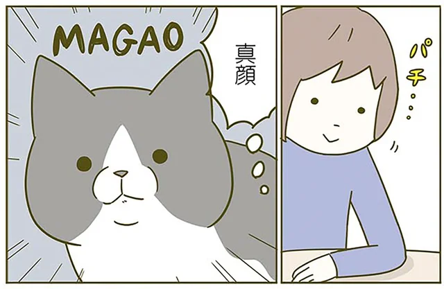 うわっ、すごい真顔！ 猫へのあふれる愛情を伝えたかっただけなのに／うちの猫がまた変なことしてる。2（2）