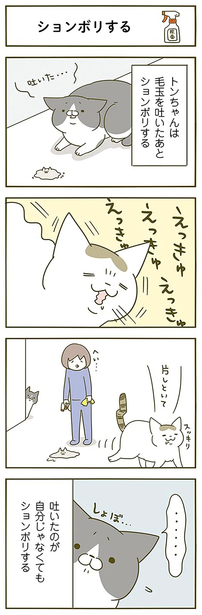 毛玉を吐いたあと