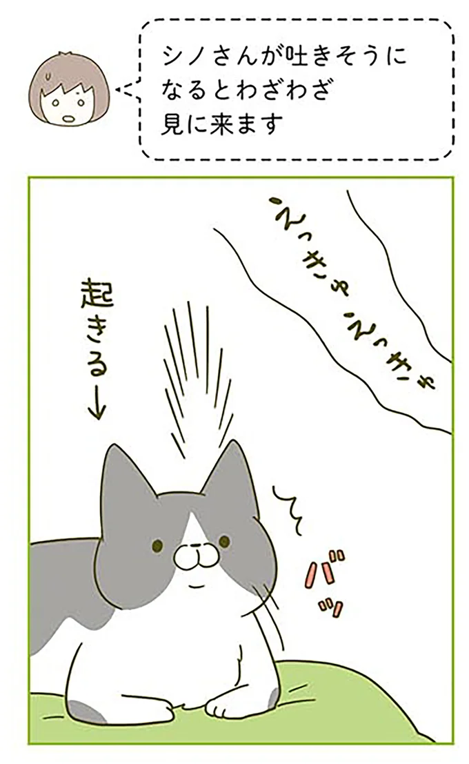 シノさんが吐きそうになると