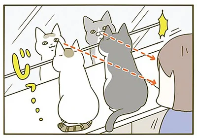 じっ…