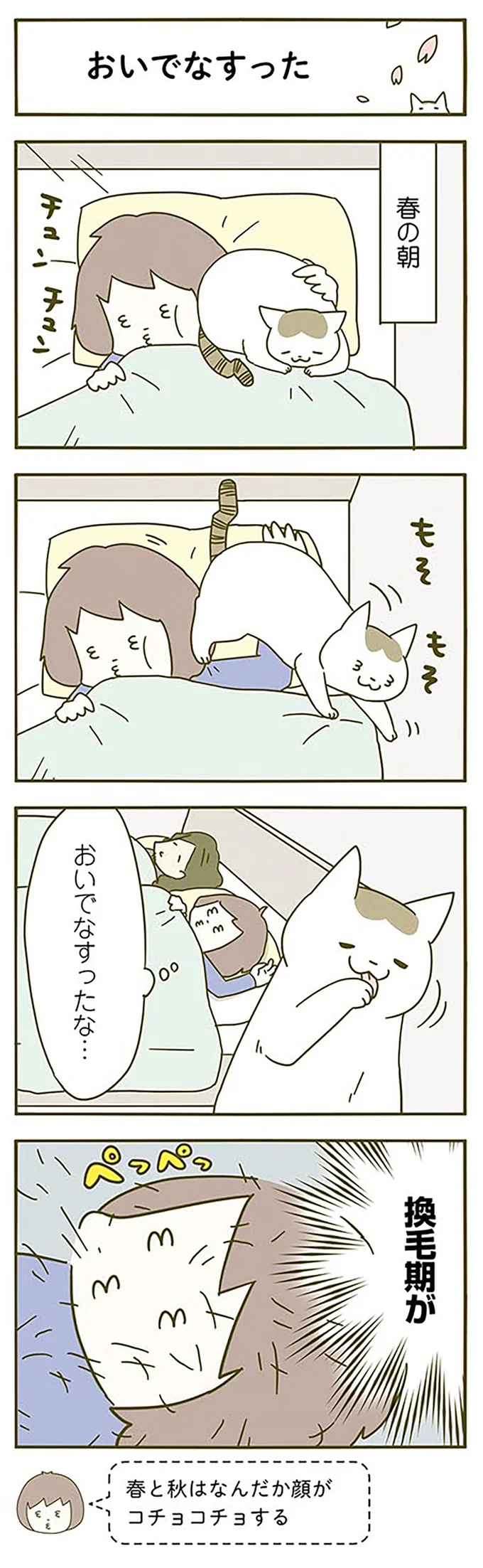 換毛期がおいでなすった