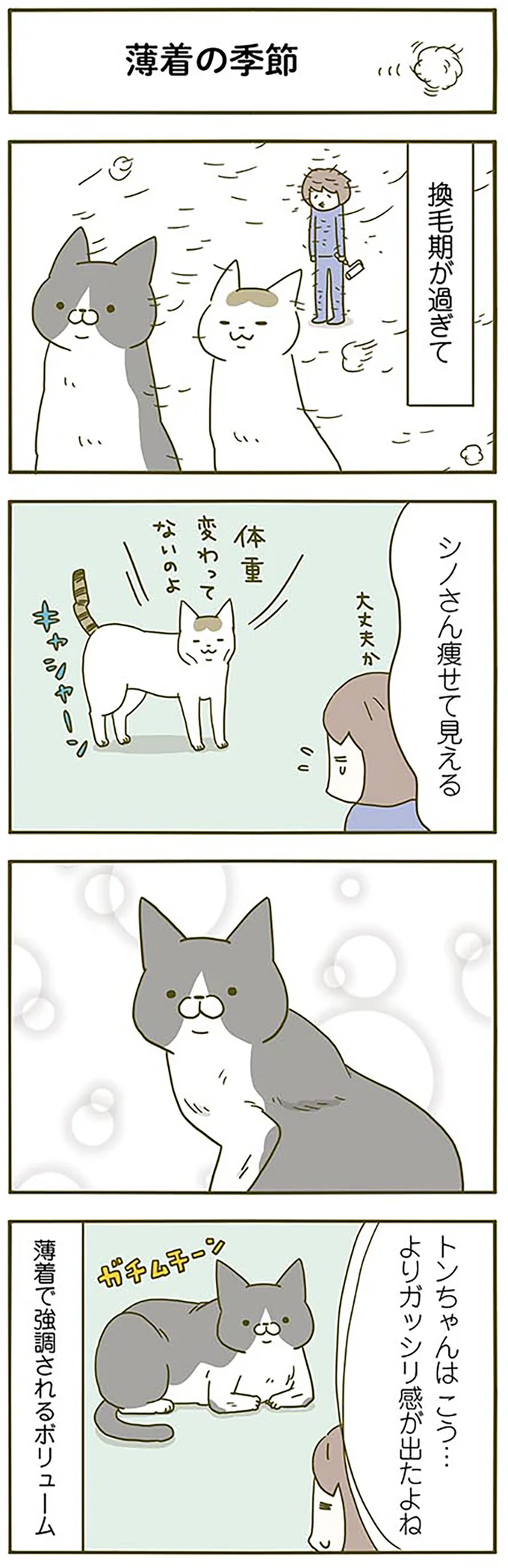 薄着の季節