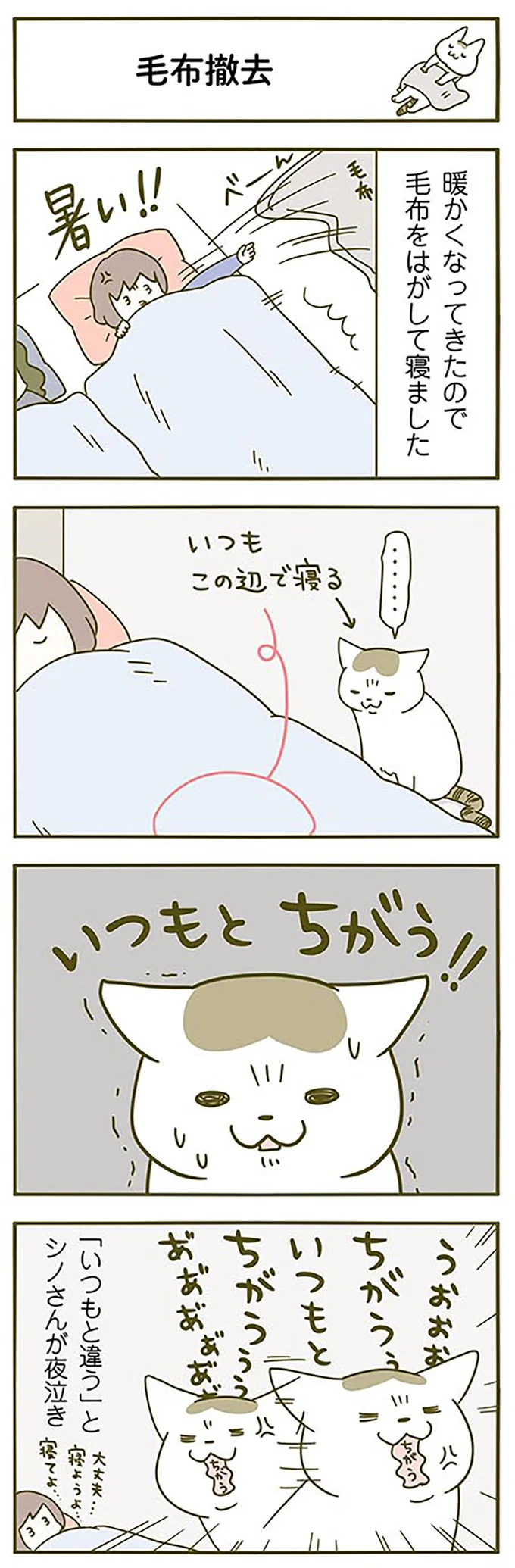 毛布をはがして寝たら