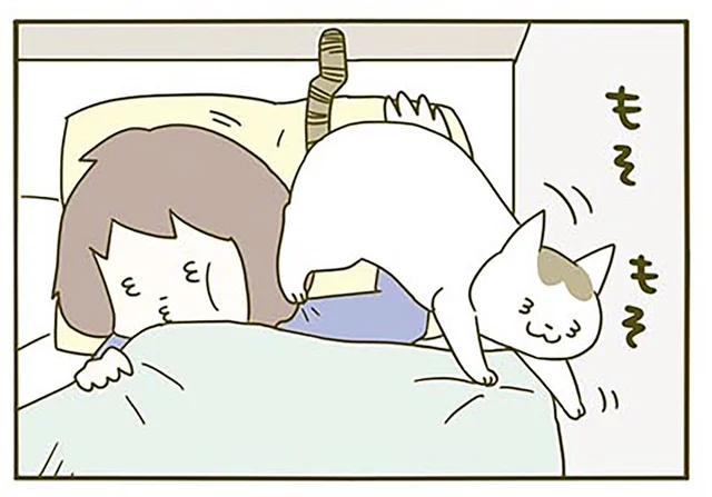 なんだか顔がコチョコチョする季節。猫たちの換毛期がやってきた！／うちの猫がまた変なことしてる。2（4）