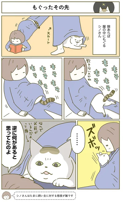 もぐったその先