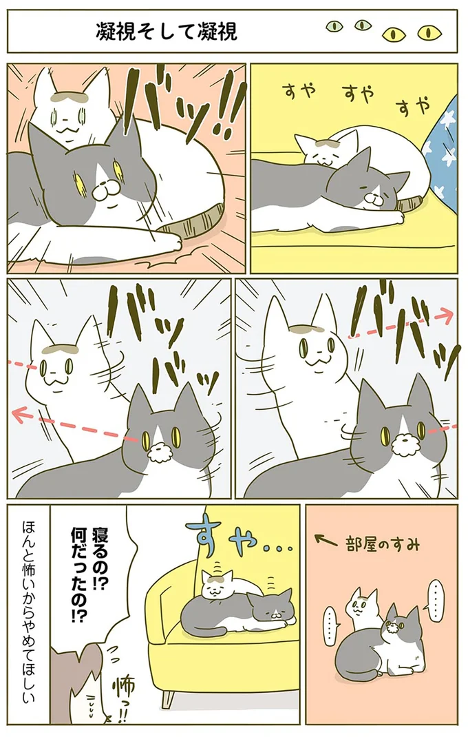 凝視そして凝視