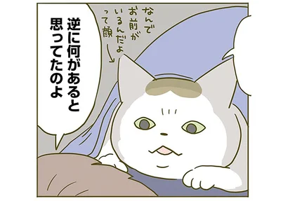 逆に何があると思ってたのよ