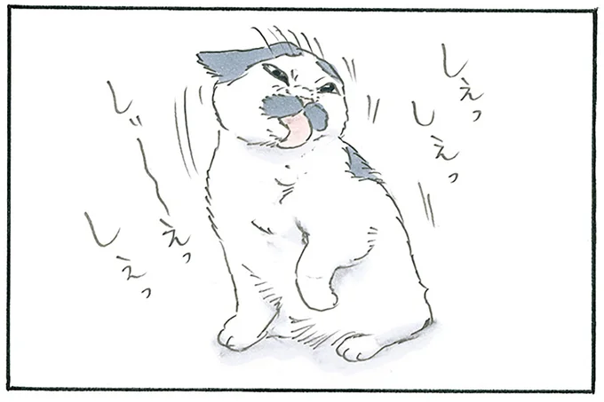 美味しいものを食べた後は