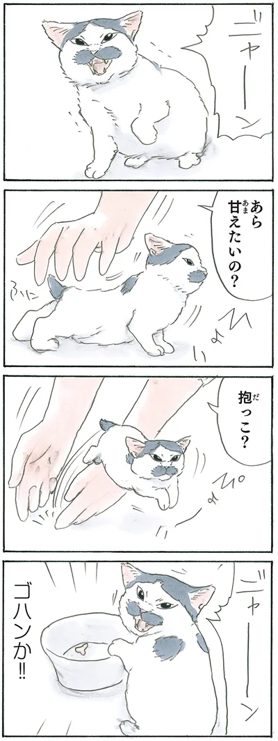 意思表示