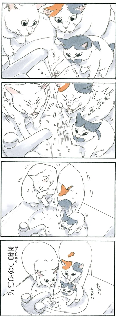 水
