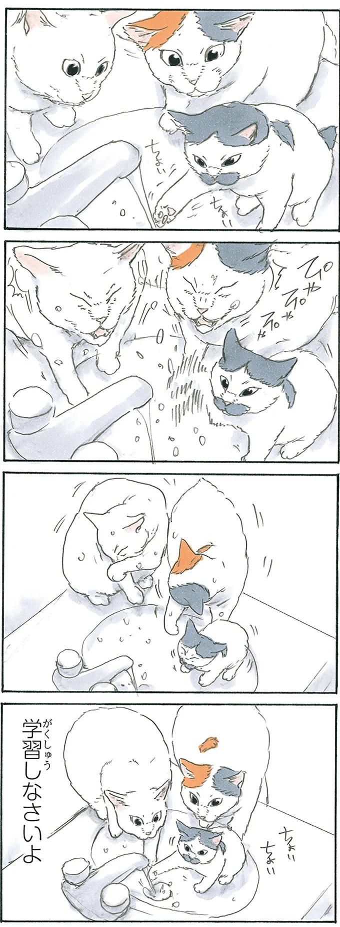 水