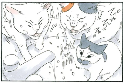 水が顔に！