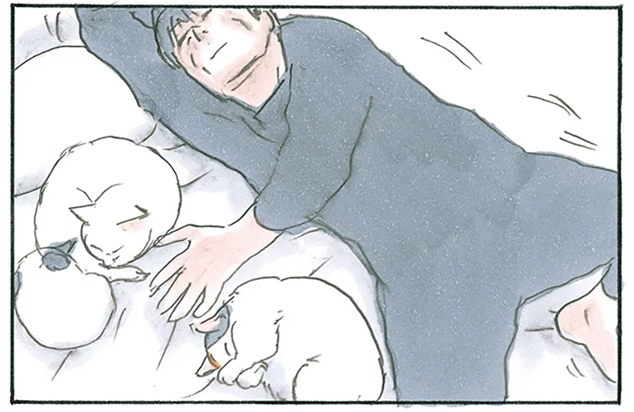 飼い主、寝かせていただきます。猫たちでいっぱいのベッドの上に横たわりたい／拾い猫のモチャ7（6）