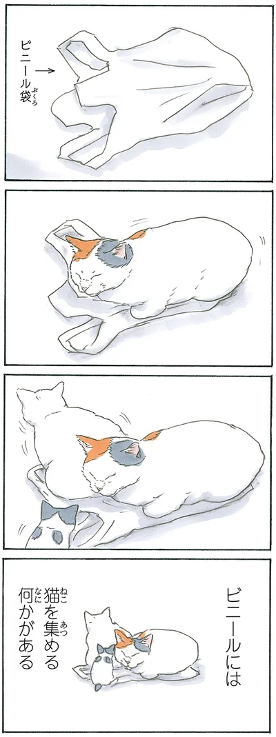 猫ホイホイ