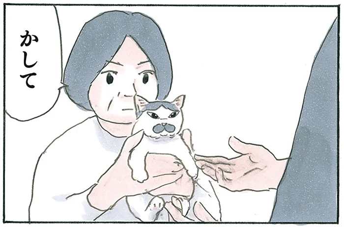 鳴き声を使い分けてる？ だっこされる相手によって少し態度が変わる猫／拾い猫のモチャ7（7）