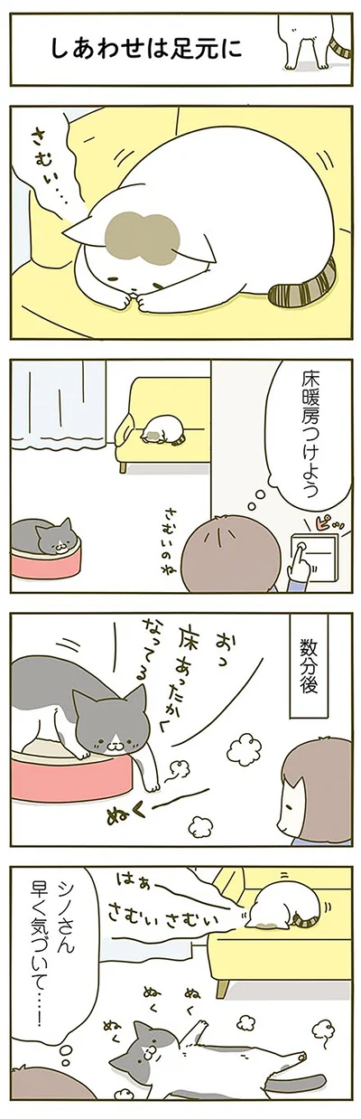 しあわせは足元に