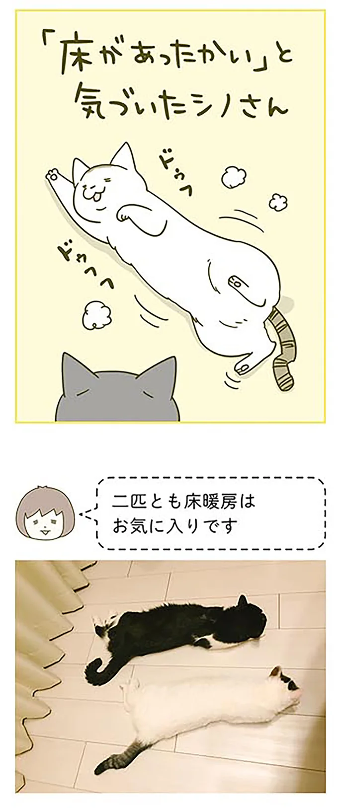 二匹とも床暖房はお気に入り