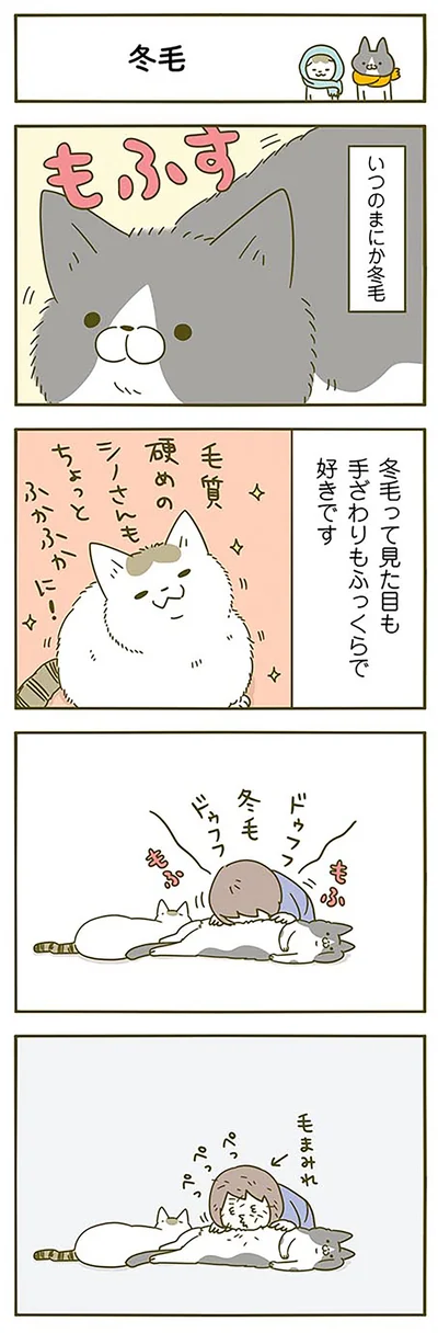 見た目も手ざわりもふっくらな冬毛