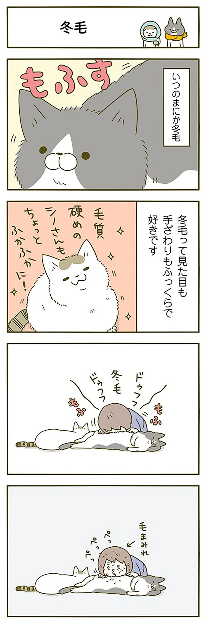 見た目も手ざわりもふっくらな冬毛