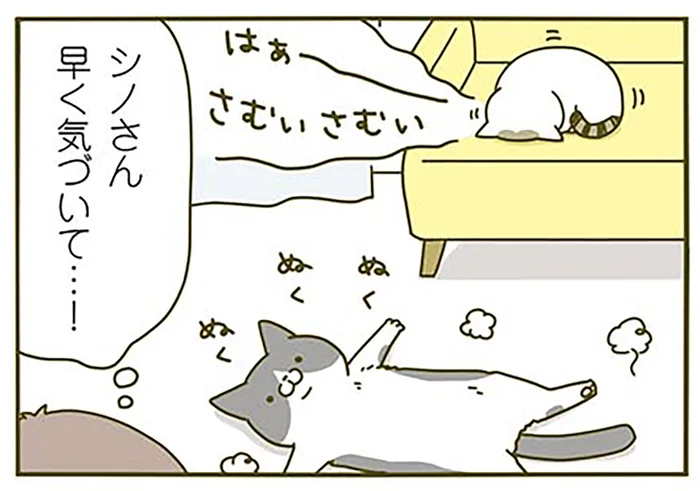 「はぁ～寒い寒い」ソファの上で寒がる猫。床暖房をつけたことに早く気づいて！／うちの猫がまた変なことしてる。2（7）