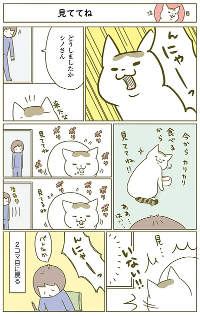 今から食べるから…