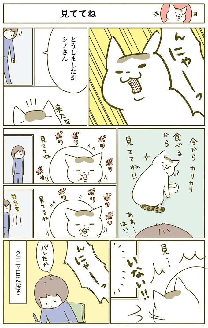 今から食べるから…