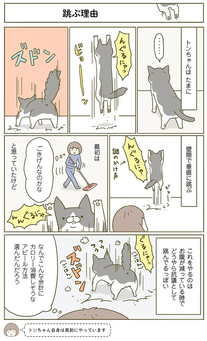 跳ぶ理由