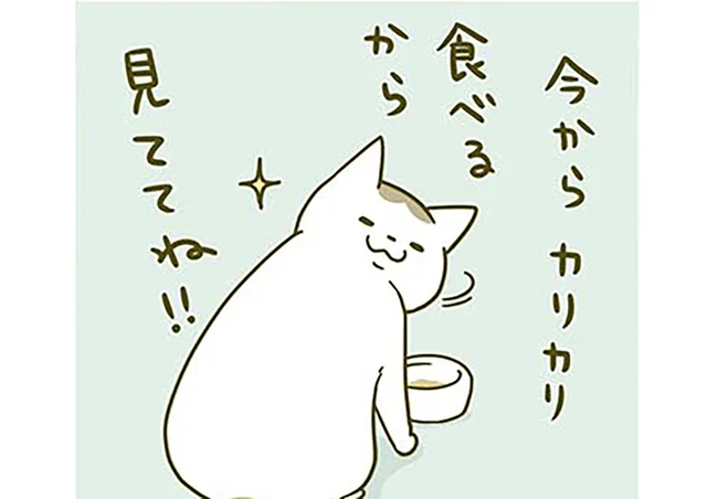 「今からカリカリ食べるから」食事を見せたがる猫の後ろからいなくなってみたら／うちの猫がまた変なことしてる。2（8）