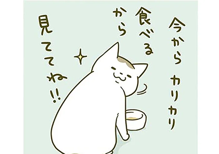 「今からカリカリ食べるから」食事を見せたがる猫の後ろからいなくなってみたら／うちの猫がまた変なことしてる。2（8）